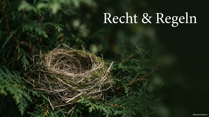 Hecke schneiden – wann ist es erlaubt? Rechtslage für Hessen