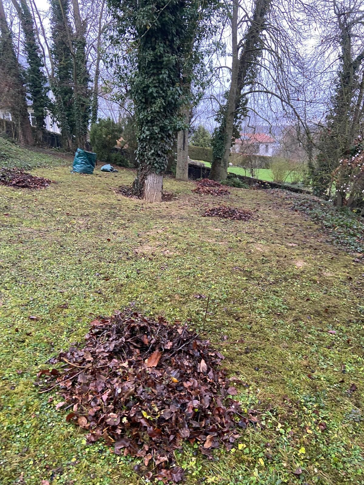 Zaunbau und Zaunmontage in Gießen - Adams Garten