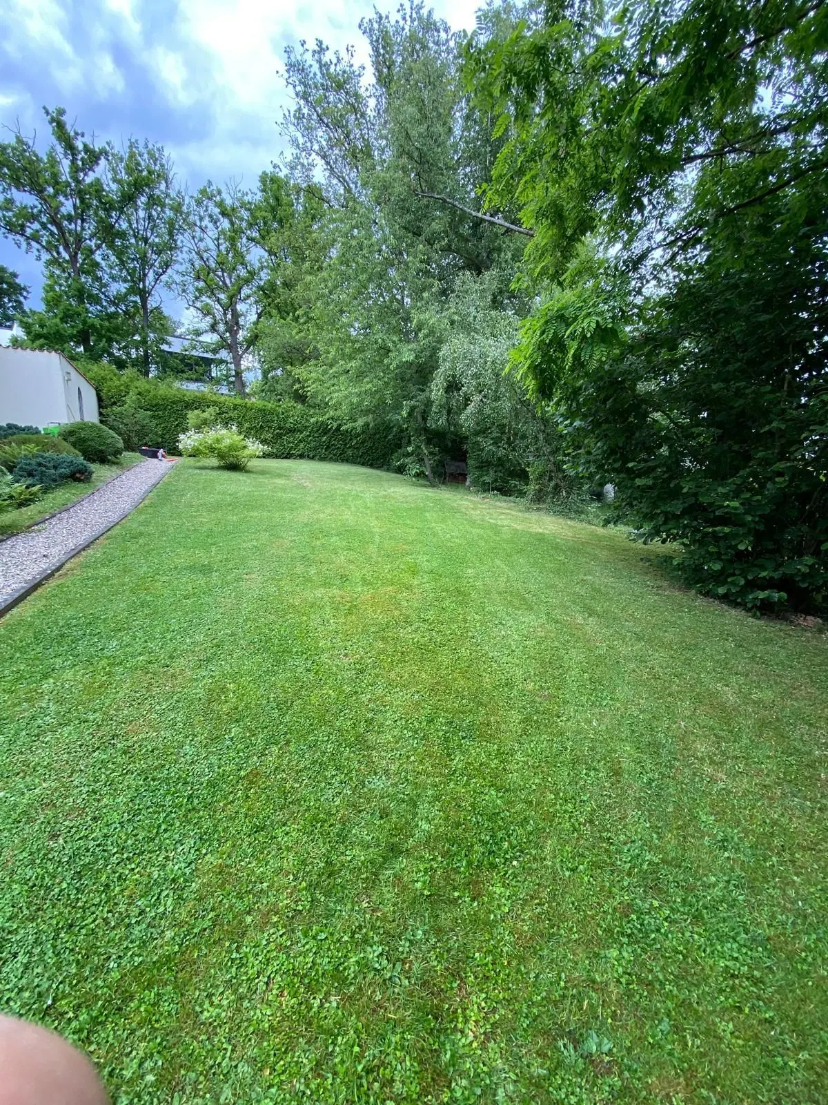 Fachgerechte Bepflanzung und Gartenpflege in Sinn - Adams Garten